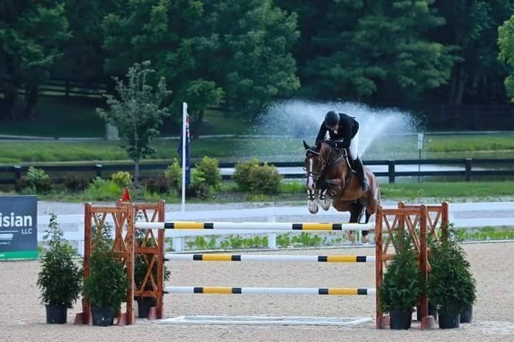 Springpaard / showjumper Belize d'Ive - ive horses - stal d'Ive