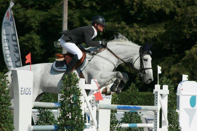 Springpaard / showjumper Centinaio d'Ive - ive horses - stal d'Ive