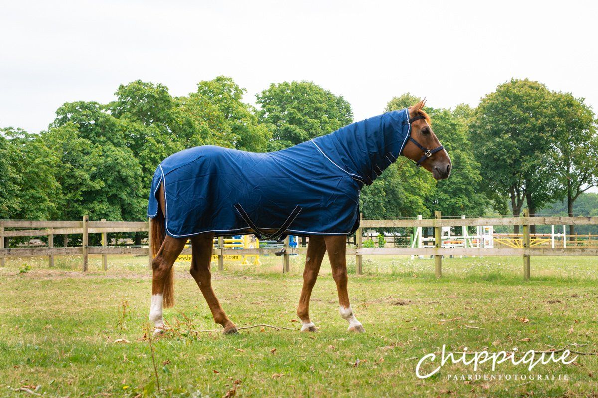 Dominick paardendekens cooler/zweetdeken met hals. d'Ive-horsecare