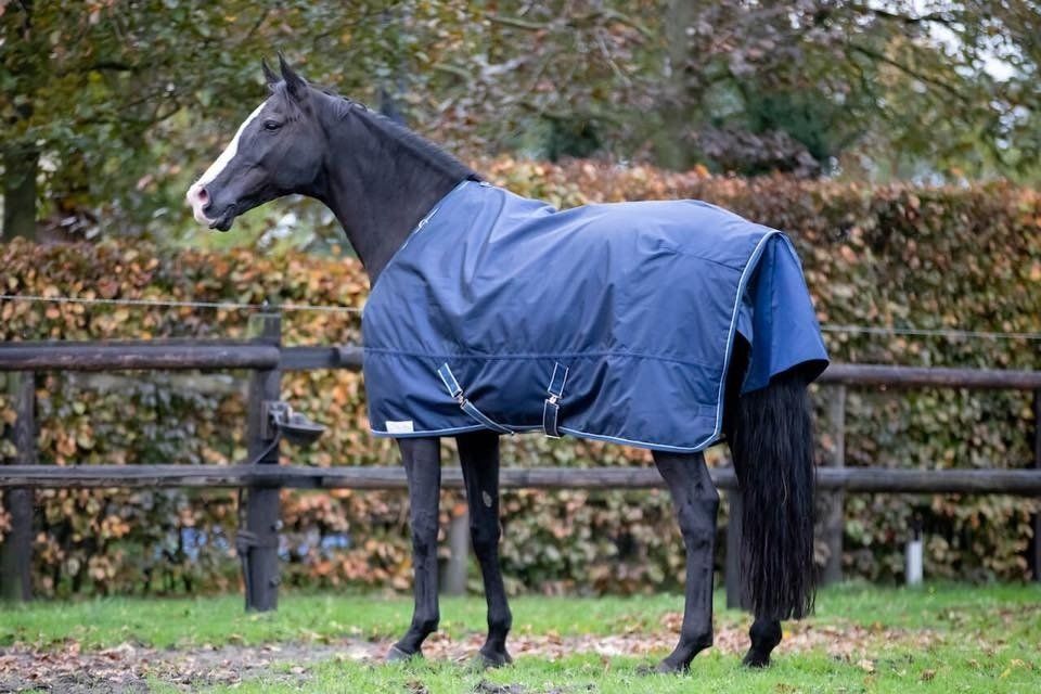 Dominick paardendekens waterdicht deken. d'Ive-horsecare