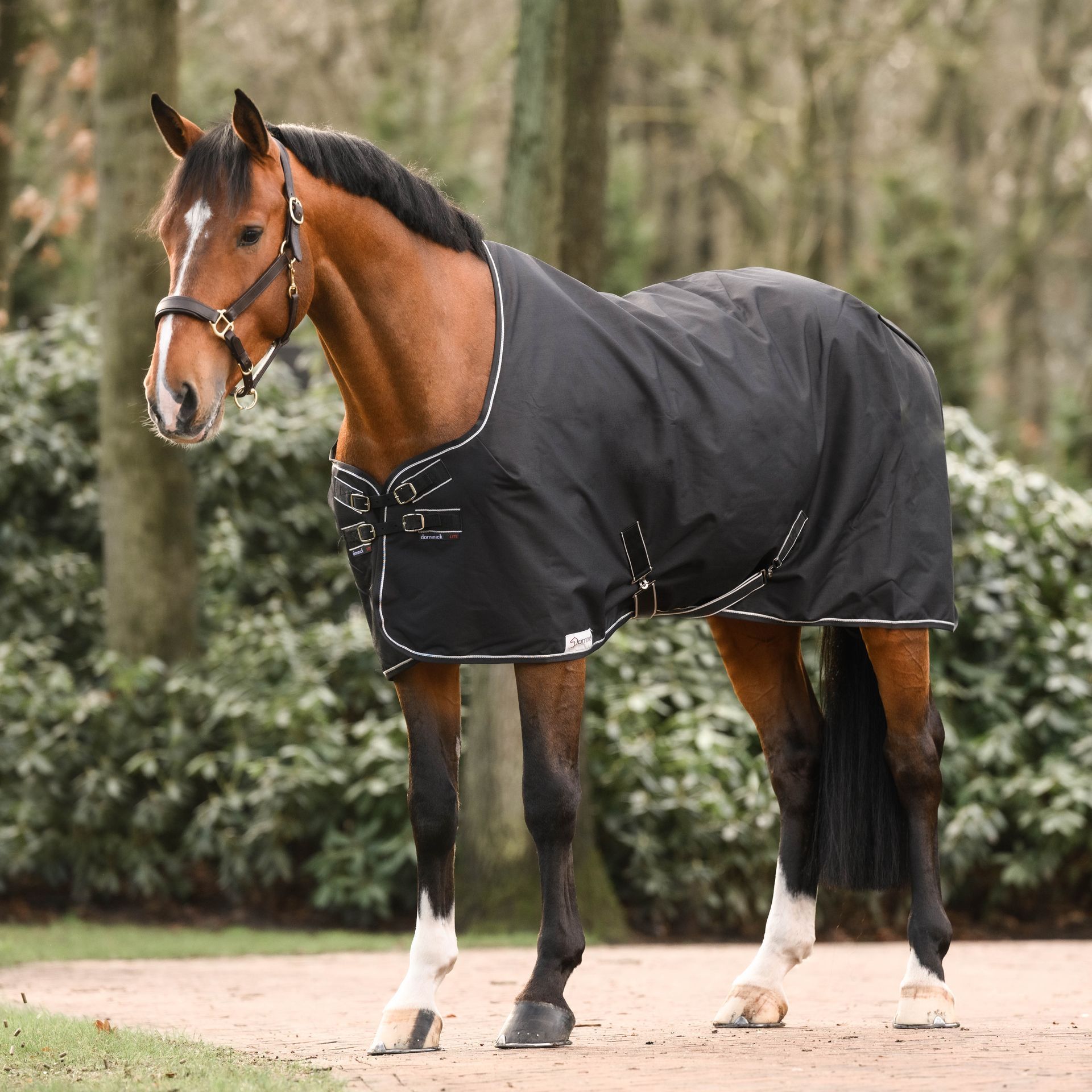 Dominick paardendekens staldeken. d'Ive-horsecare