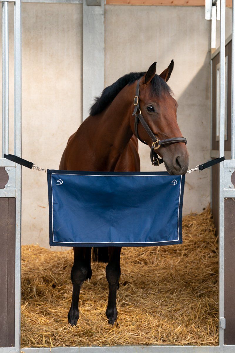Dominick paardendekens stalpoort voor op wedstrijd. d'Ive-horsecare