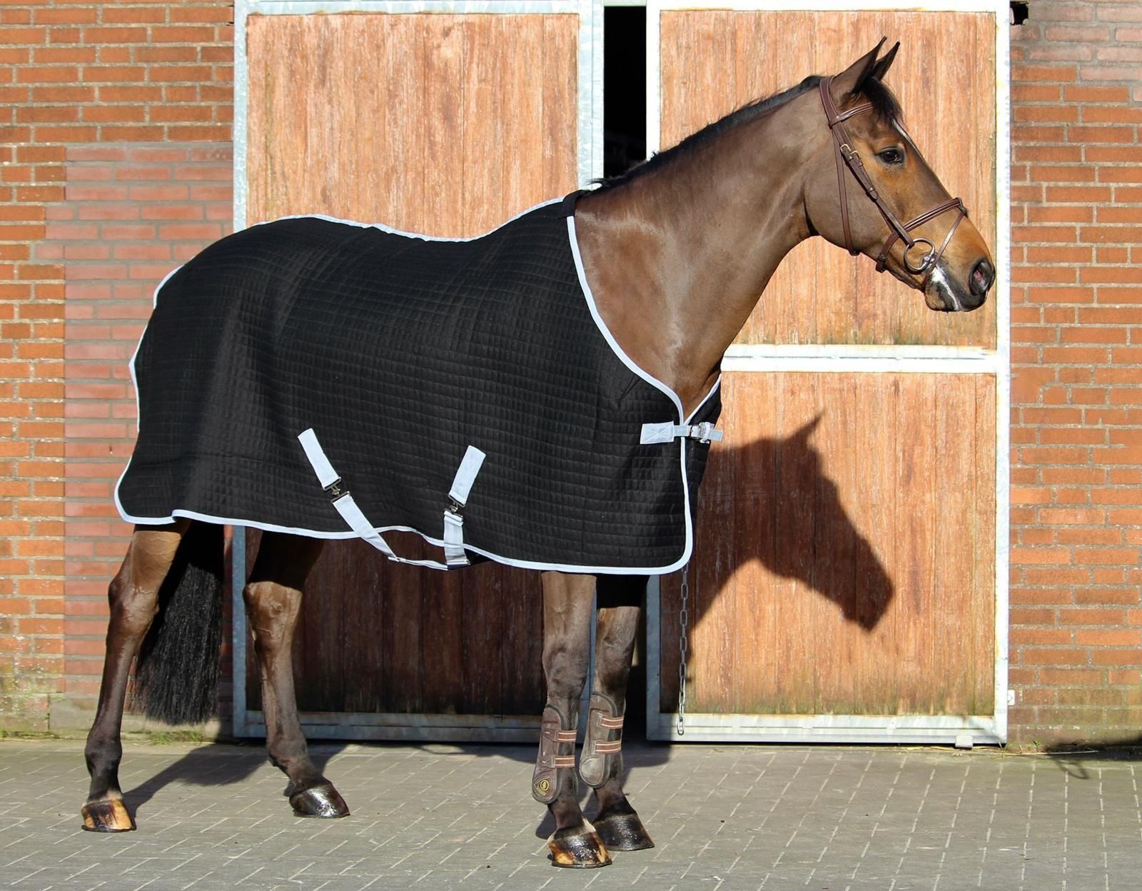 Dominick paardendekens thermodeken/zweetdeken. d'Ive-horsecare