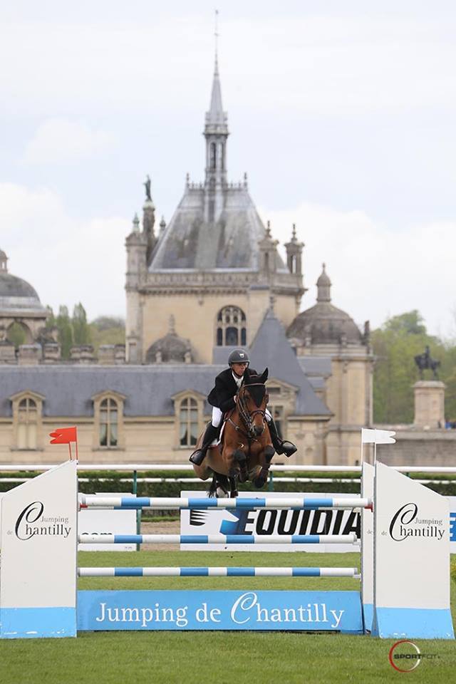 Springpaard / showjumper Famoso d'Ive - ive horses - stal d'Ive