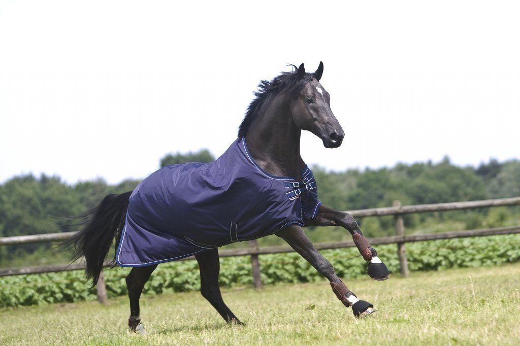 Dominick paardendekens regendeken. d'Ive-horsecare