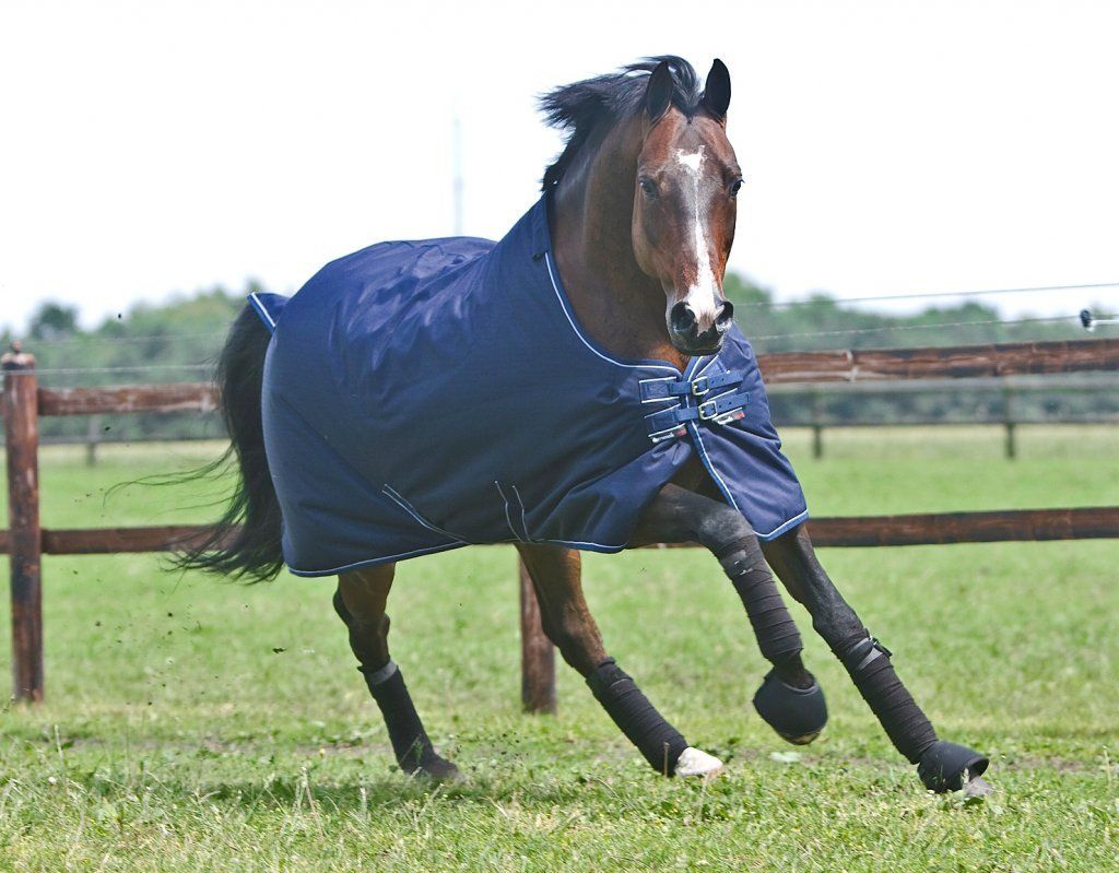 Dominick paardendekens weidedeken. d'Ive-horsecare
