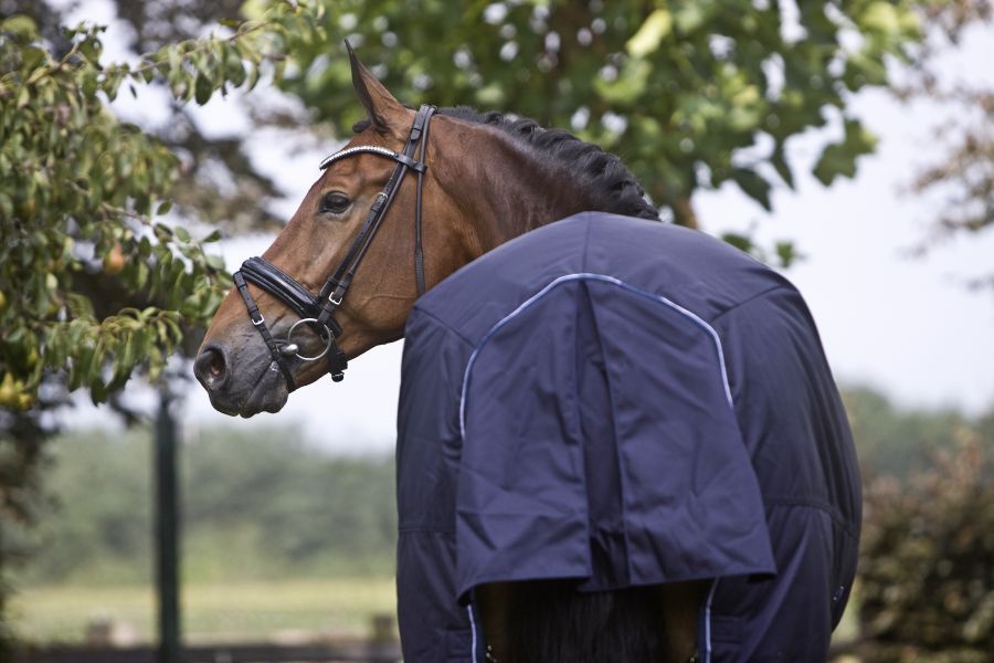 Dominick paardendekens weidedeken. d'Ive-horsecare