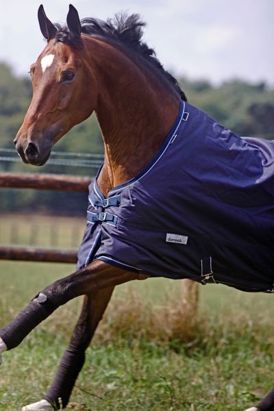 Dominick paardendekens weidedeken. d'Ive-horsecare