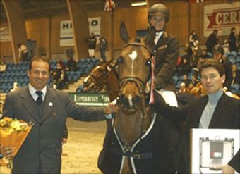 Springpaard Winnie the blue d'Ive