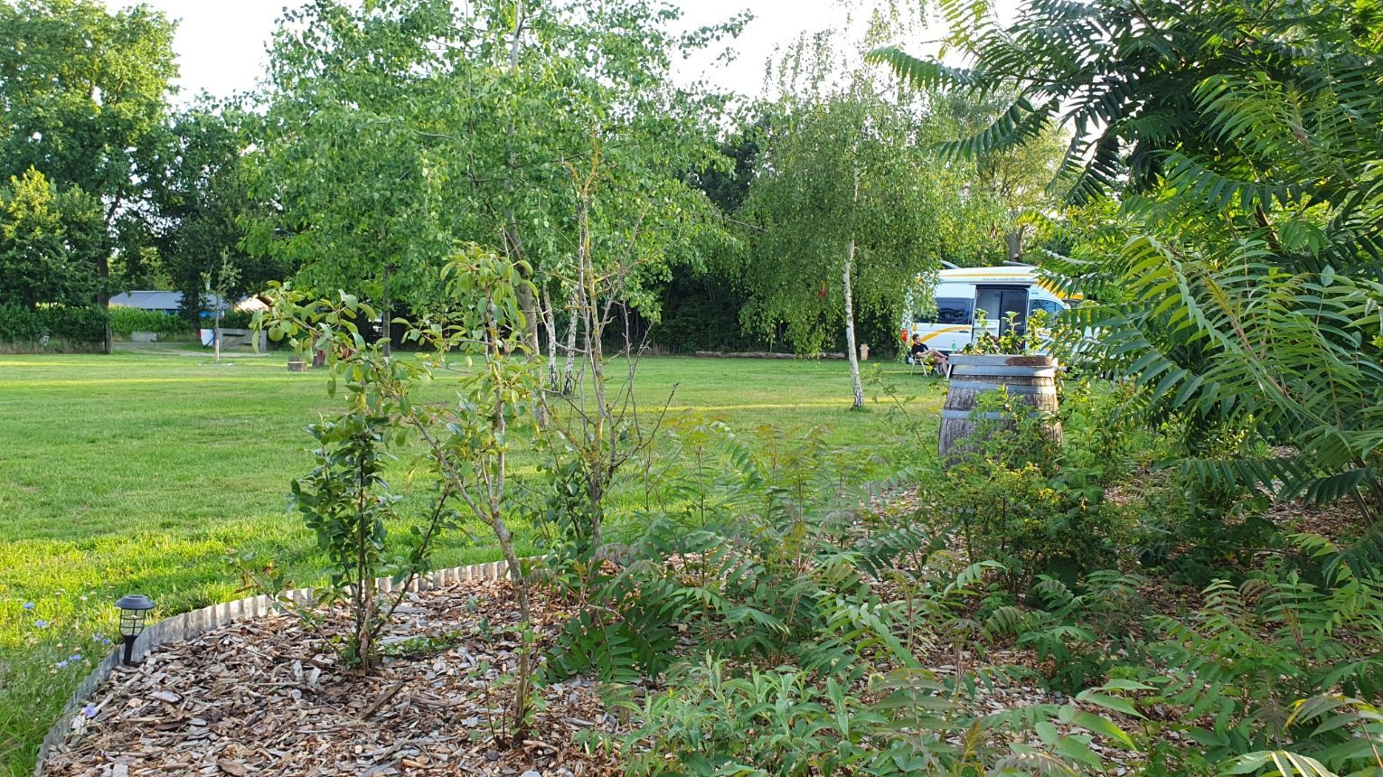 Alles wordt weer groen op de camping