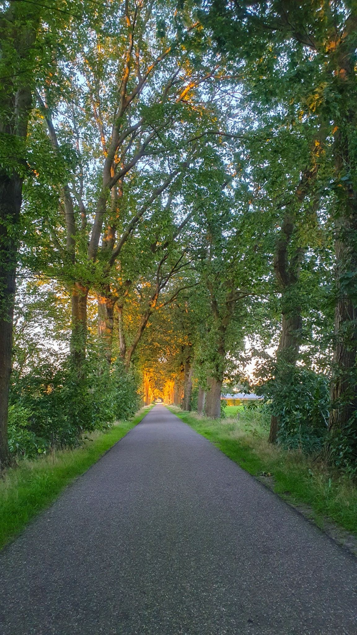 Heikampseweg in De Mortel