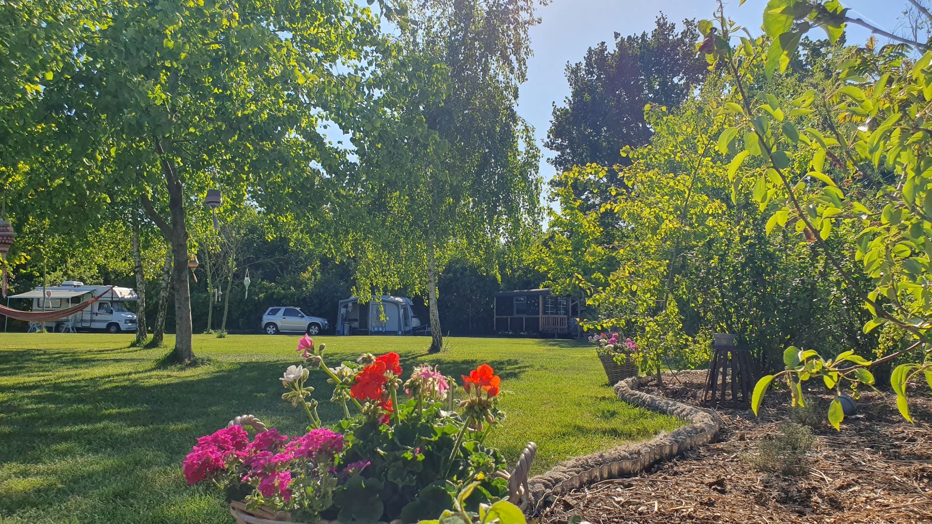 Een camping met groen gras, bomen, bloemen en geparkeerde auto's onder een heldere hemel.