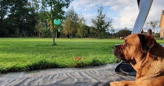 Ballou als gast op de camping