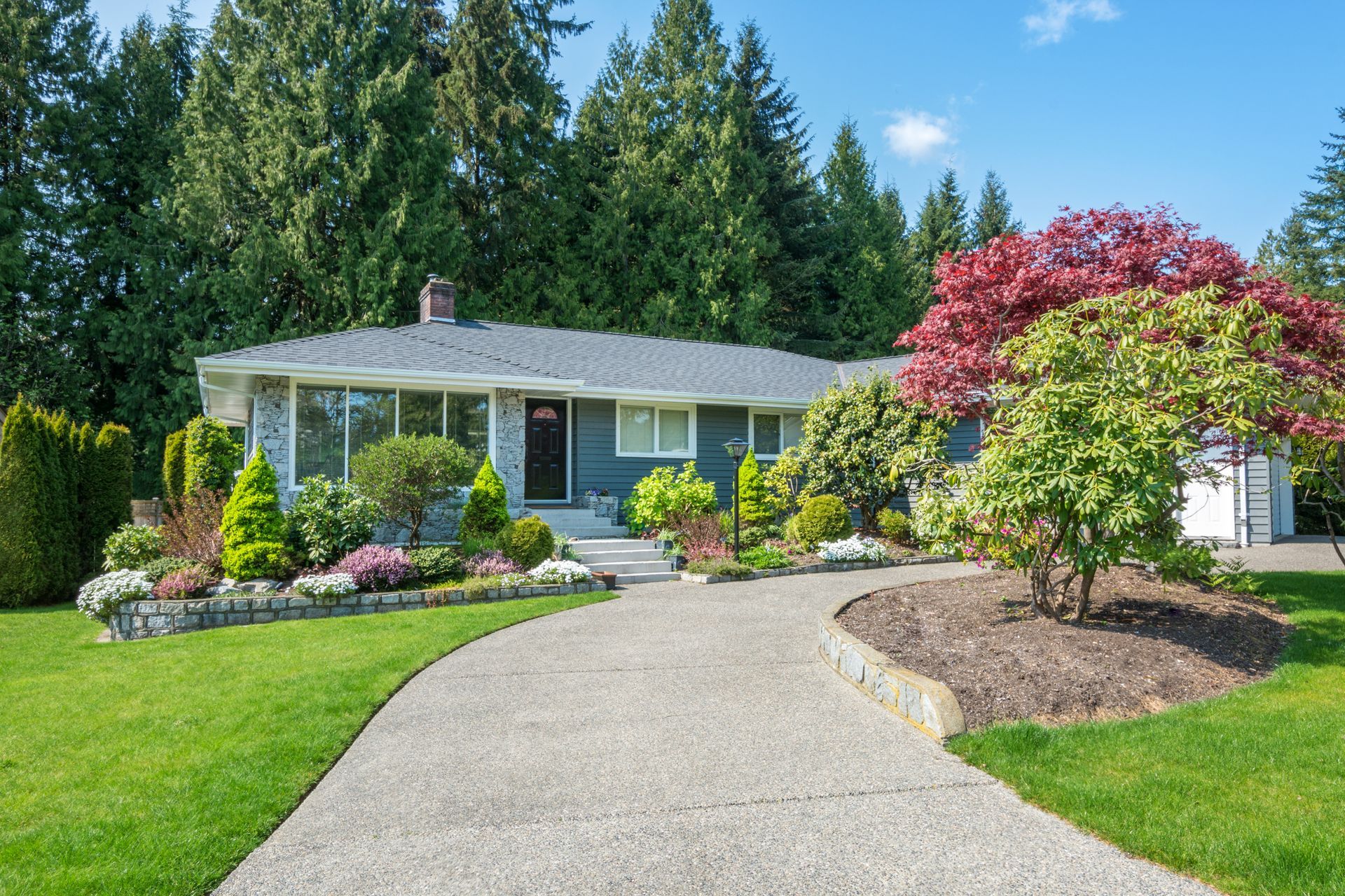Single-story blue-gray home with curved driveway lush landscaping and Japanese maple in Citrus Heights.