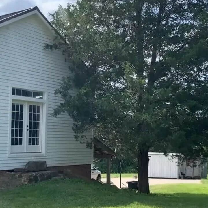 Image of a slender tree very close to a standard white home.