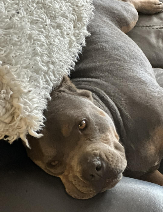 Bud and his son Disco