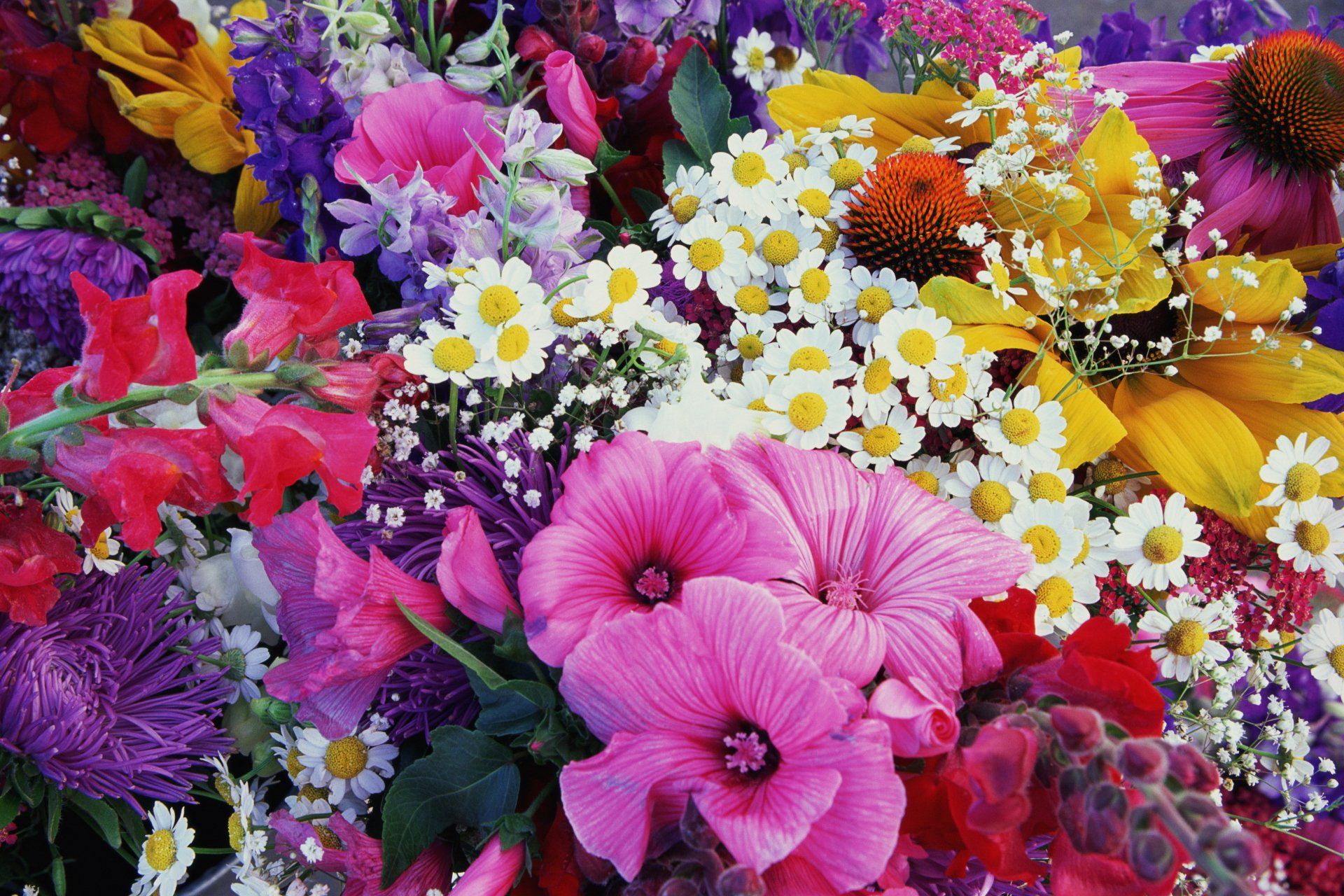 fiori