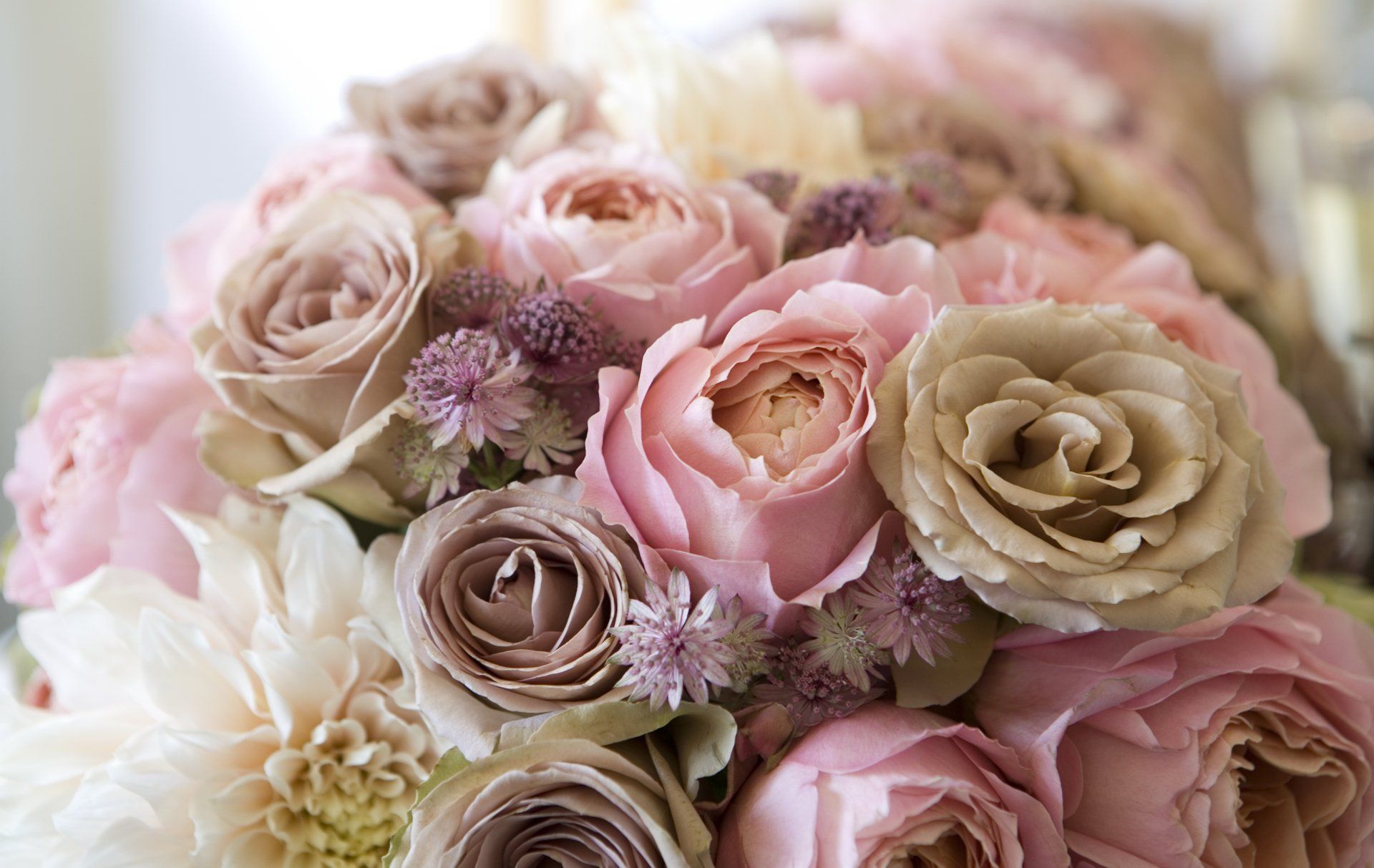 bouquet