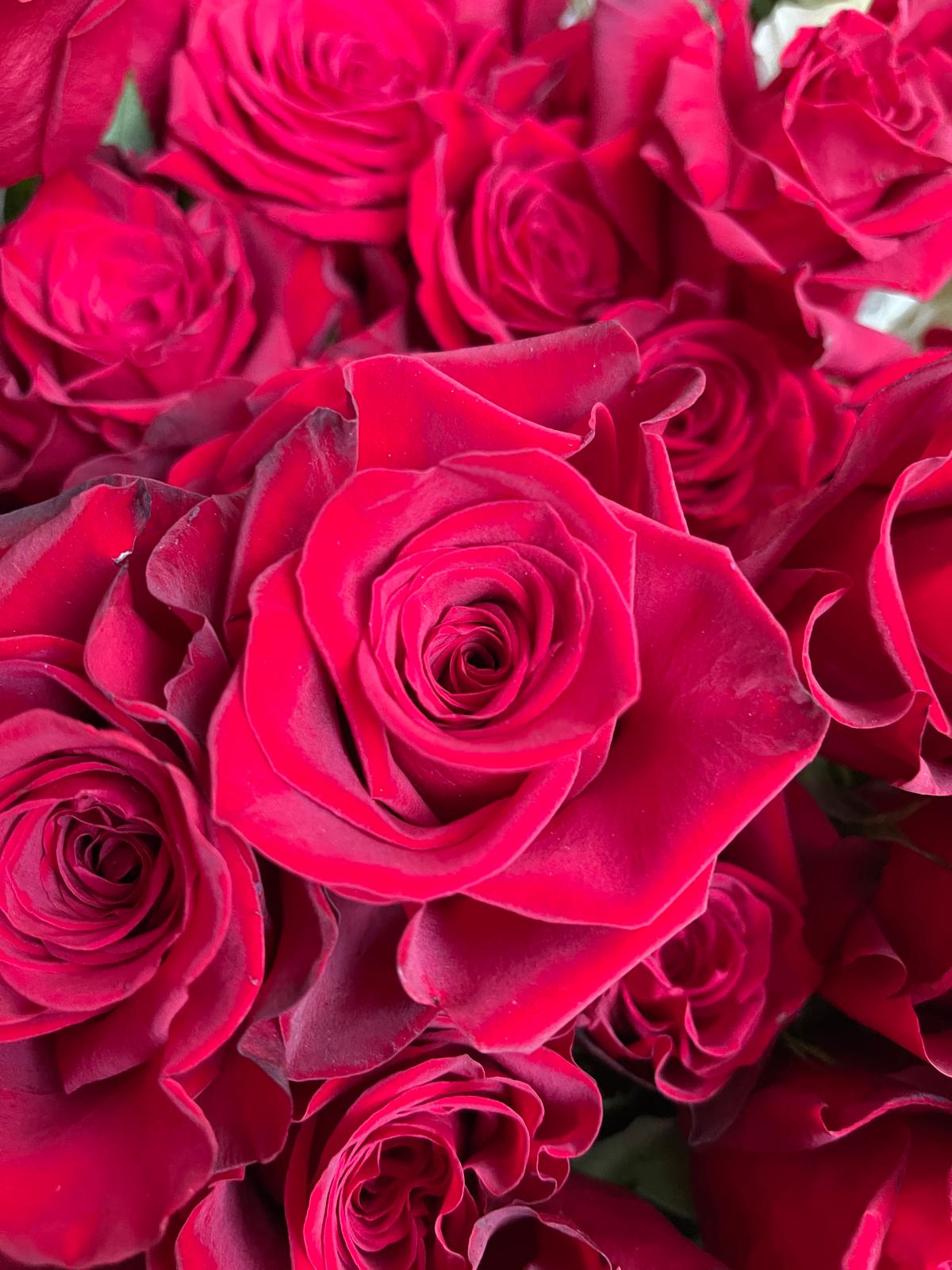 fiori
