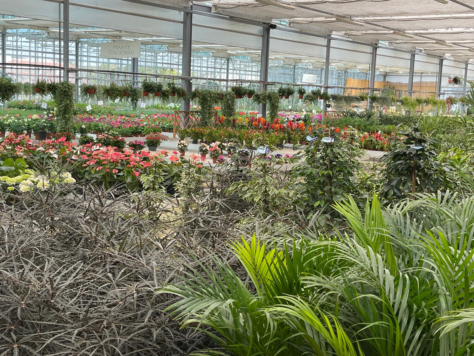 giardino