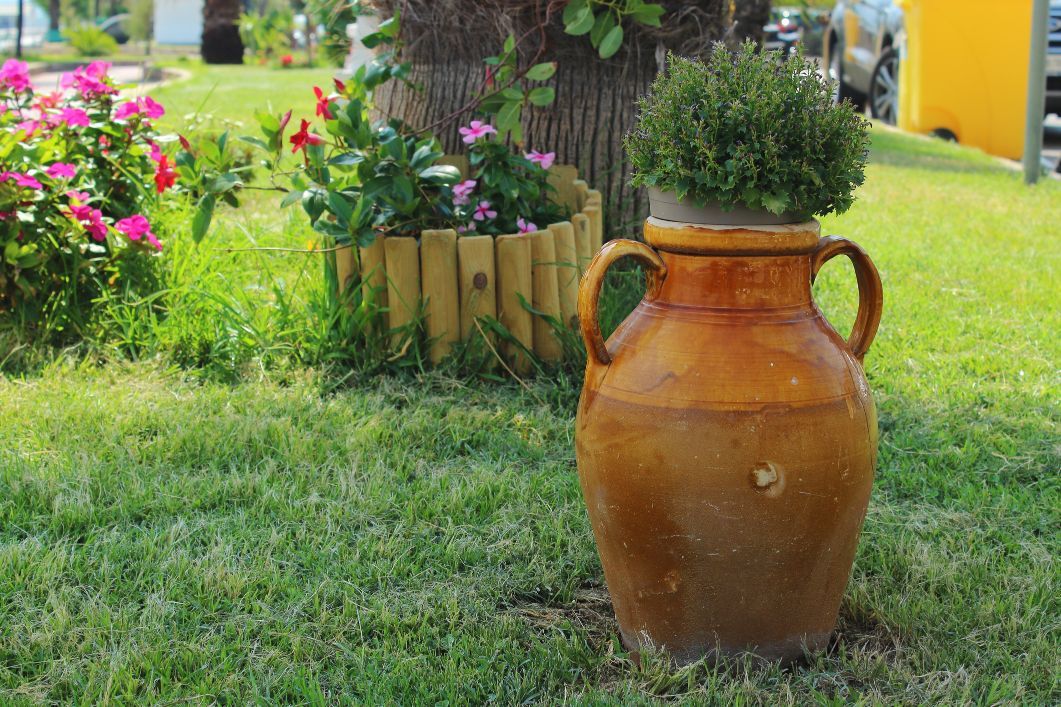 anfora da giardino con pianta
