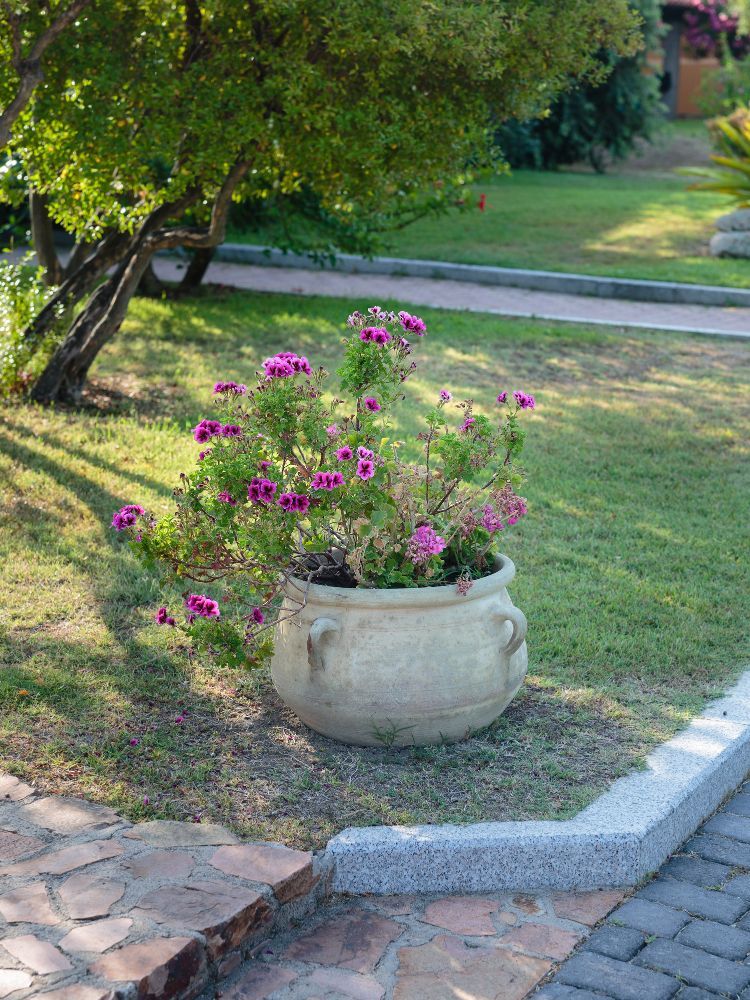 vaso basso da giardino con fiori