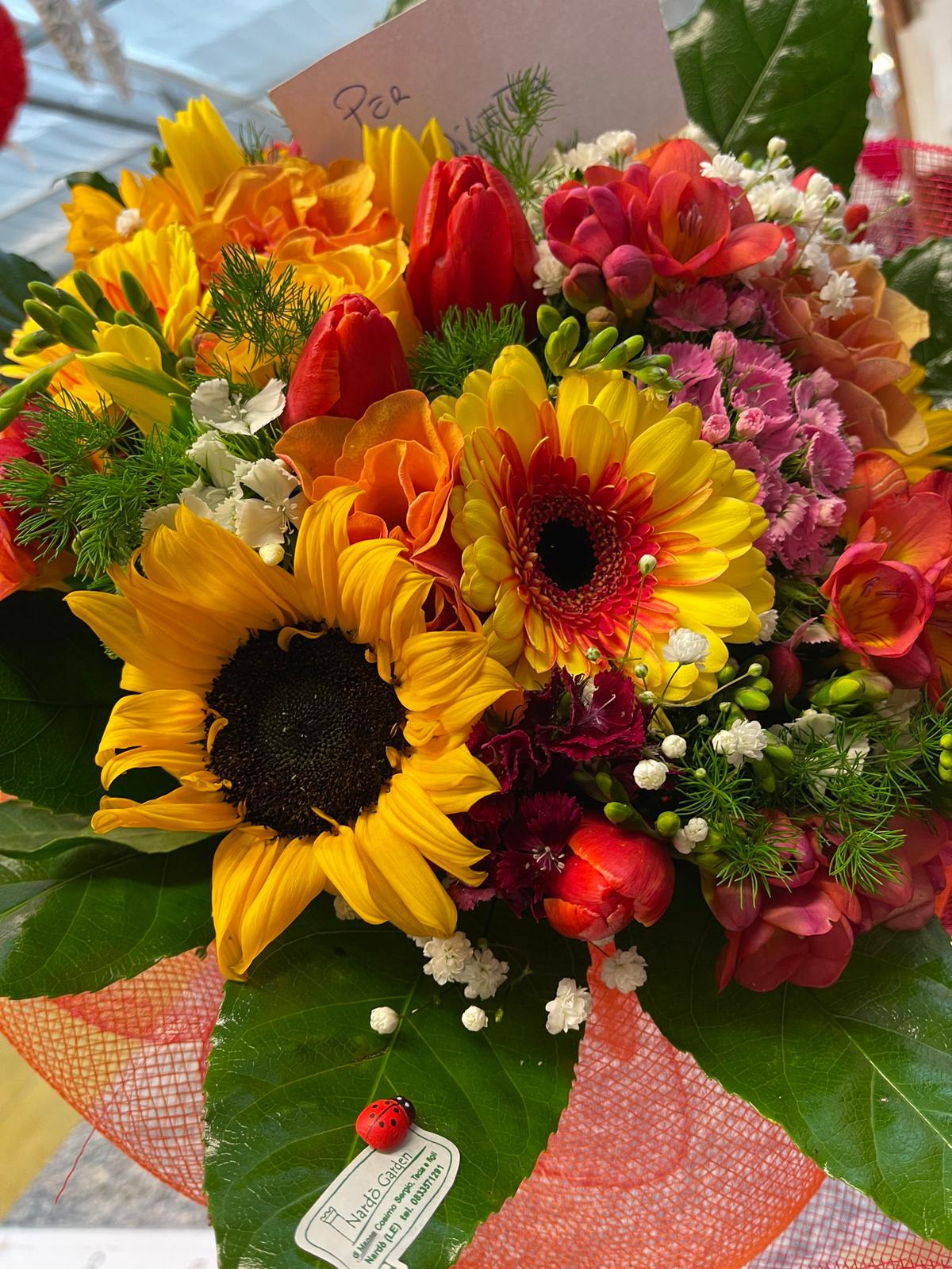 girasoli