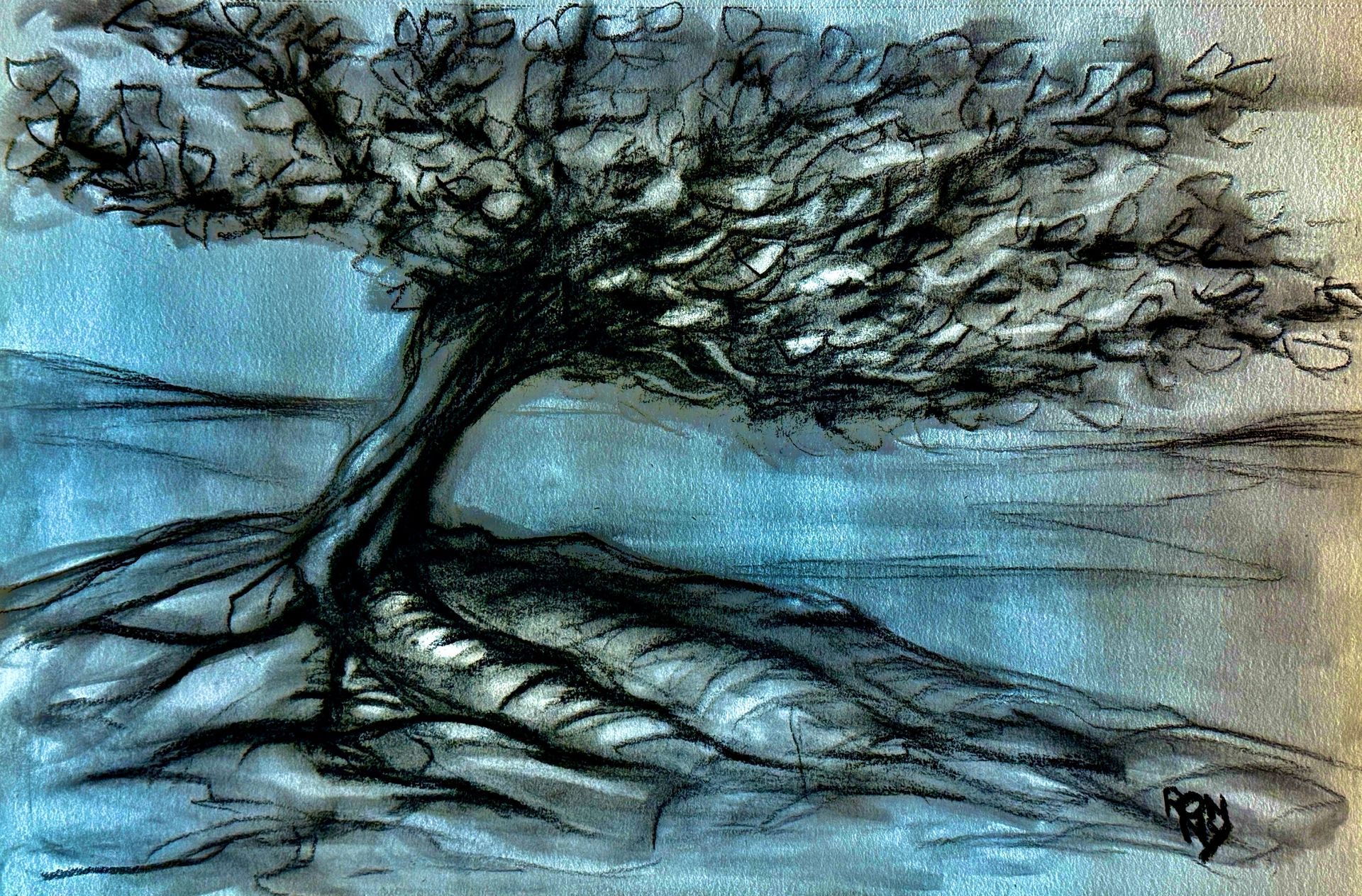 Abstracte houtskooltekening van een boom met uitgestrekte donkere takken tegen een blauwe achtergrond.