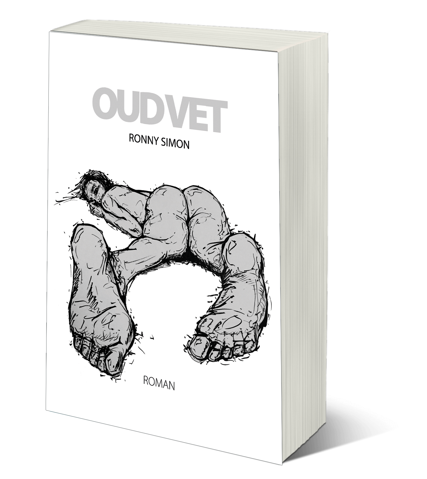 Boekcover met de titel 
