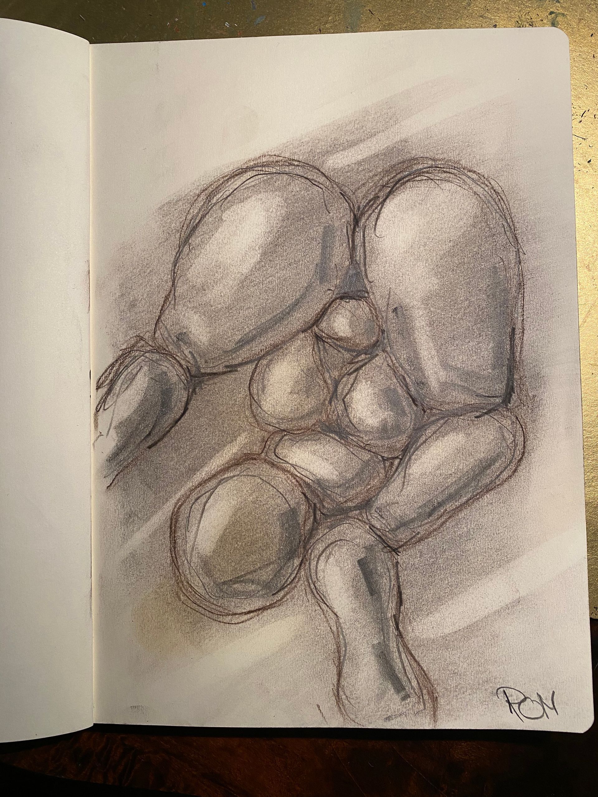 Houtskoolschets van een groep afgeronde vormen op papier, met zachte schaduwen en abstracte vormen.
