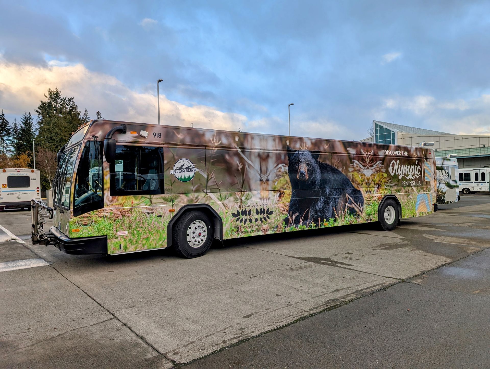 Bus