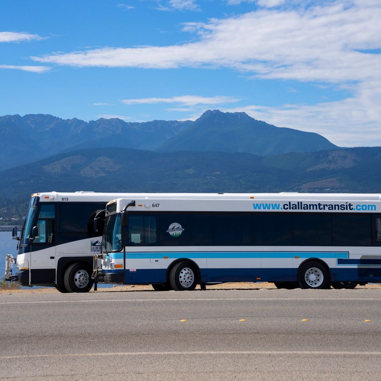 Two buses parked with a view of the Olympic Mountains in the background.