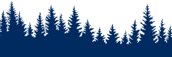 Silhouette of Trees