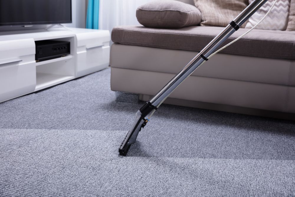 Vacuum Cleaner Cleaning A Light Gray Carpet In A Living Room, Leaving A Cleaned Stripe — Your Expert Cleaners in Toowoomba