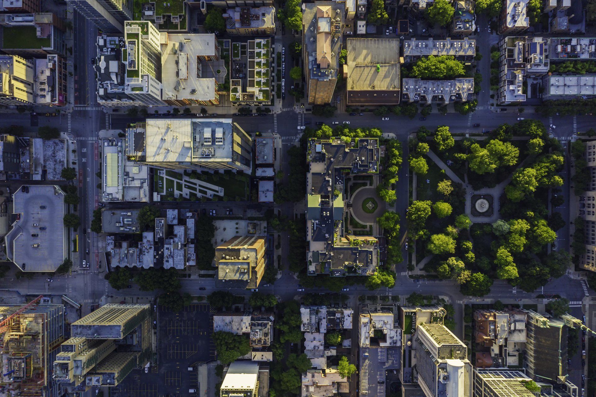 Neighborhood Image