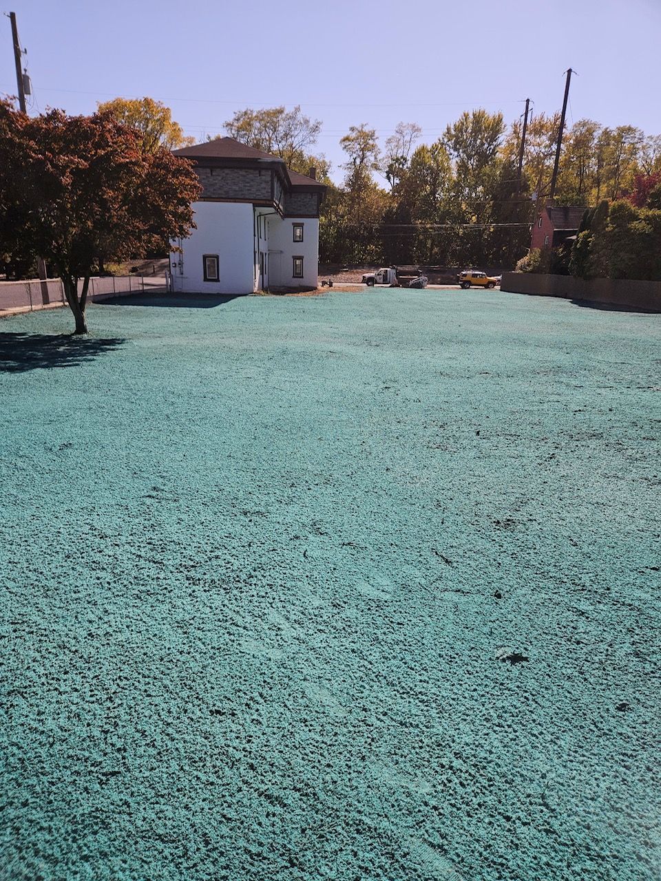 A large green field with a house in the background