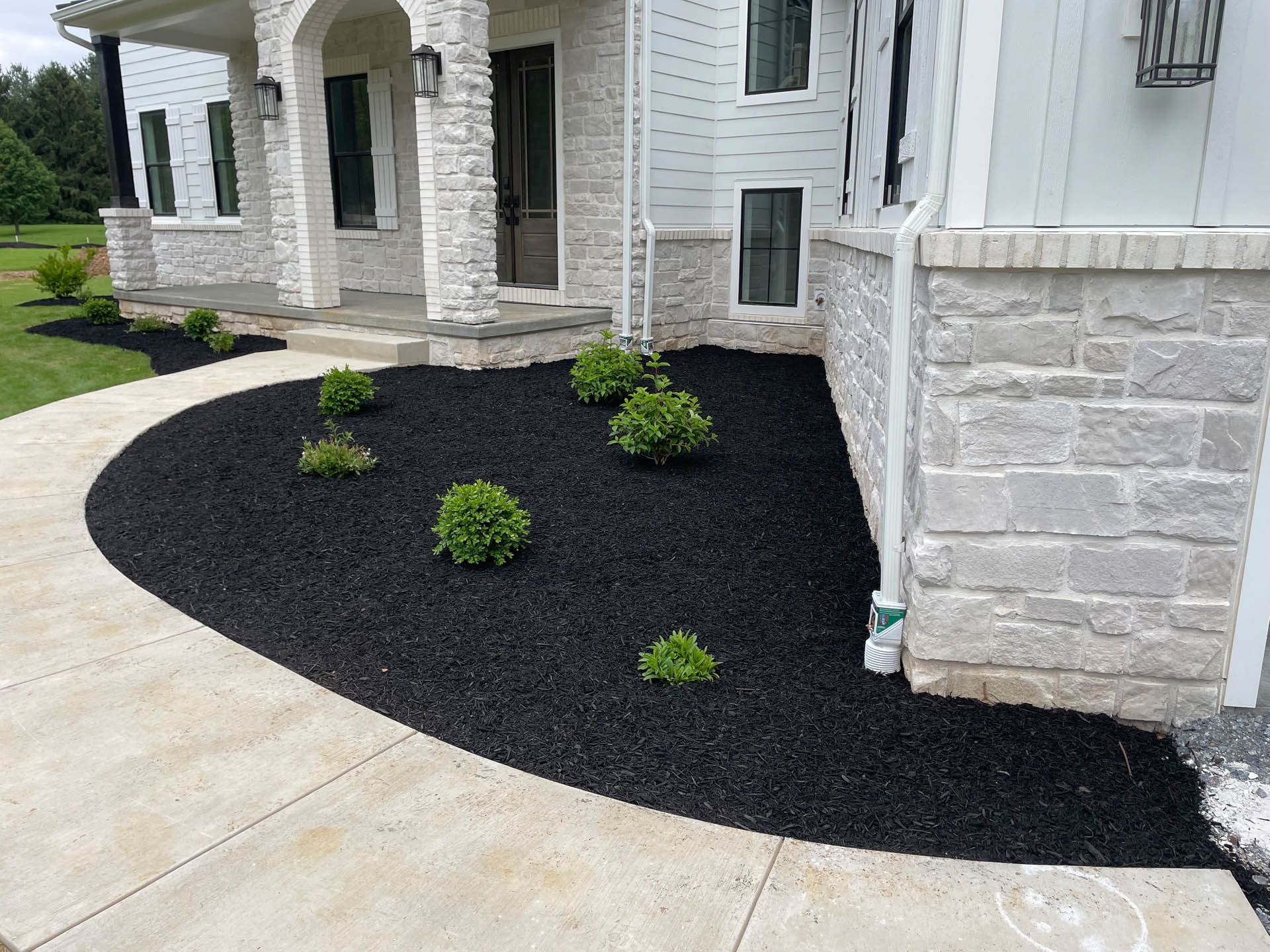 Black mulch landscaping around house with small green bushes and concrete walkway.