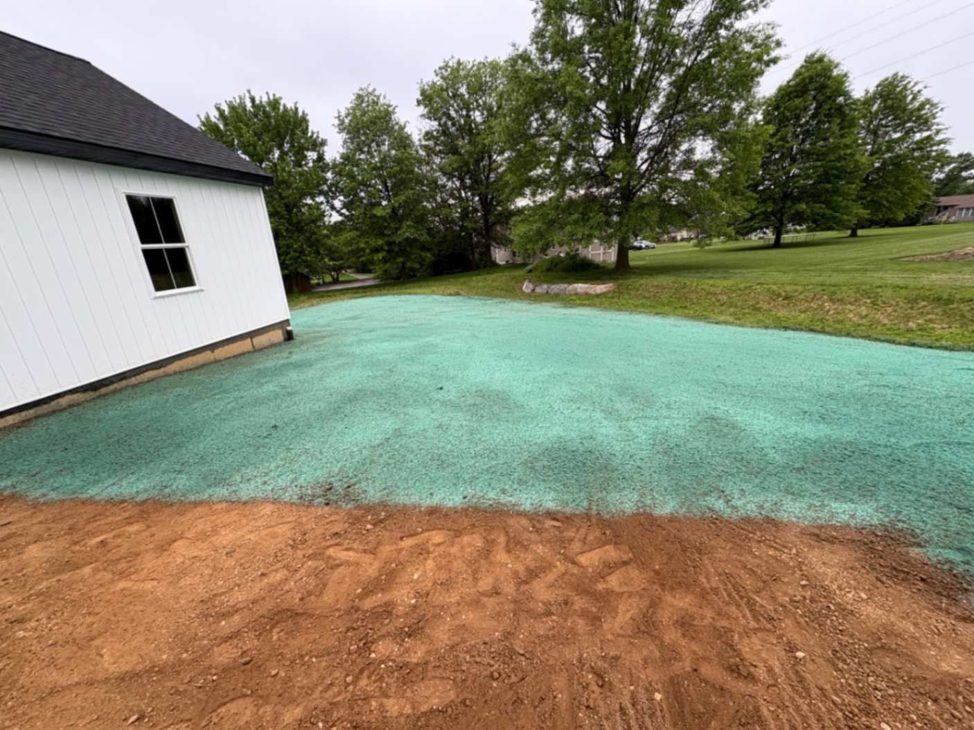 New lawn seeding with green hydroseed on a brown dirt yard next to a white house.