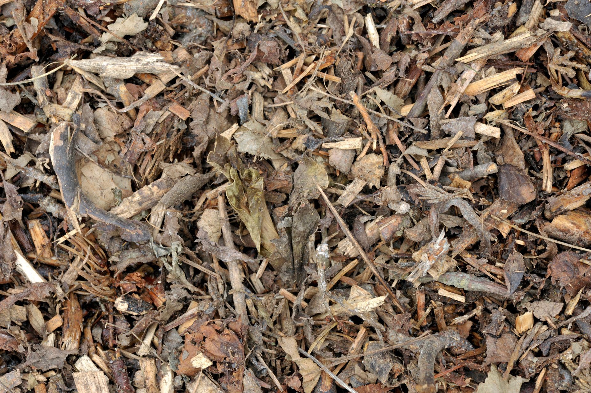 A Pile of Wood Chips and Leaves on The Ground | Caboolture, QLD | Dumpit Handy Bins