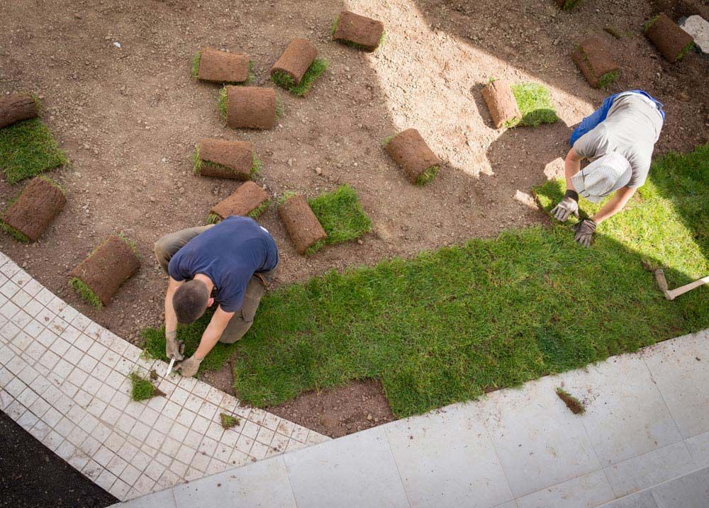 A Couple Of Men Are Working On A Lawn — Barron River Lawns In Cape York, QLD