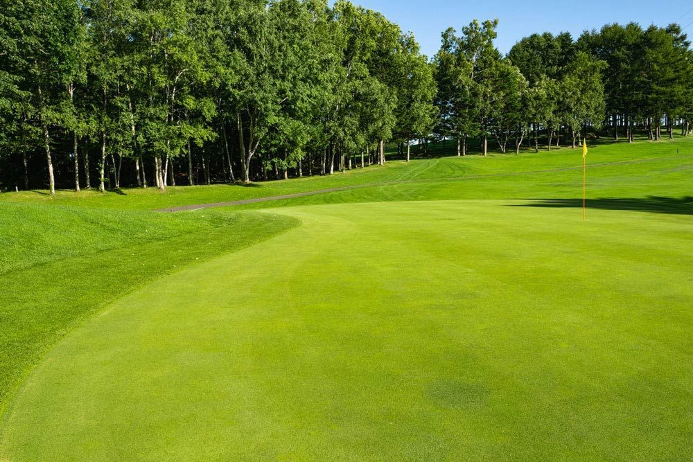 A Golf Course With A Green And Trees In The Background — Barron River Lawns In Port Douglas, QLD