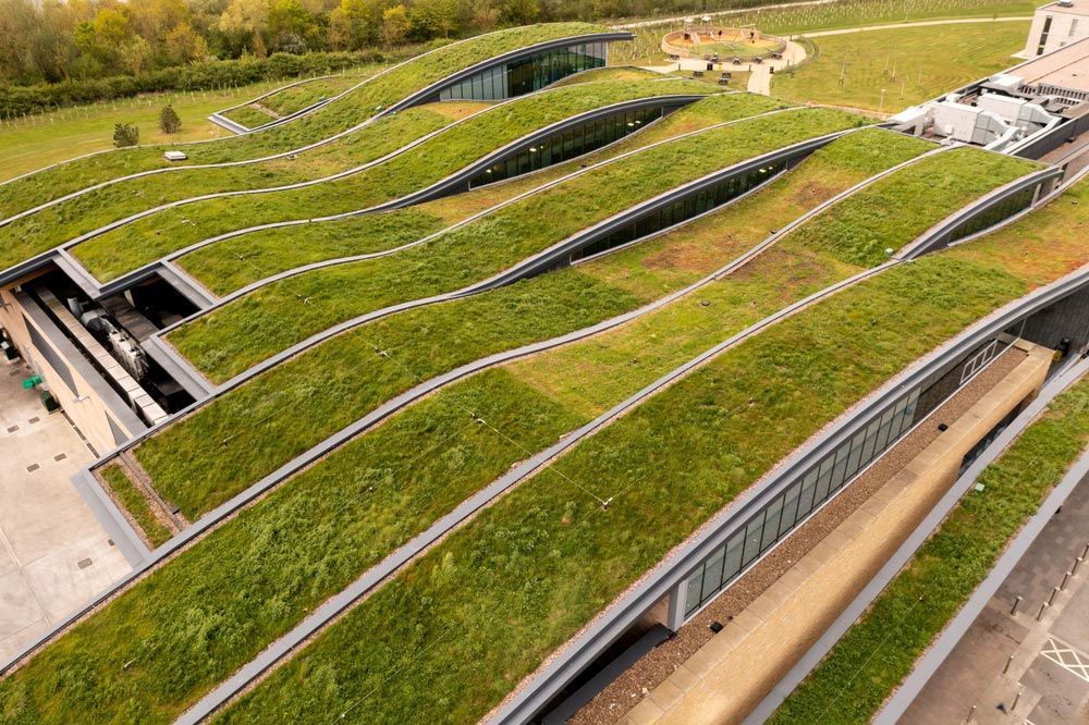 An Aerial View Of Row Of Turfs — Barron River Lawns In Biboohra, QLD