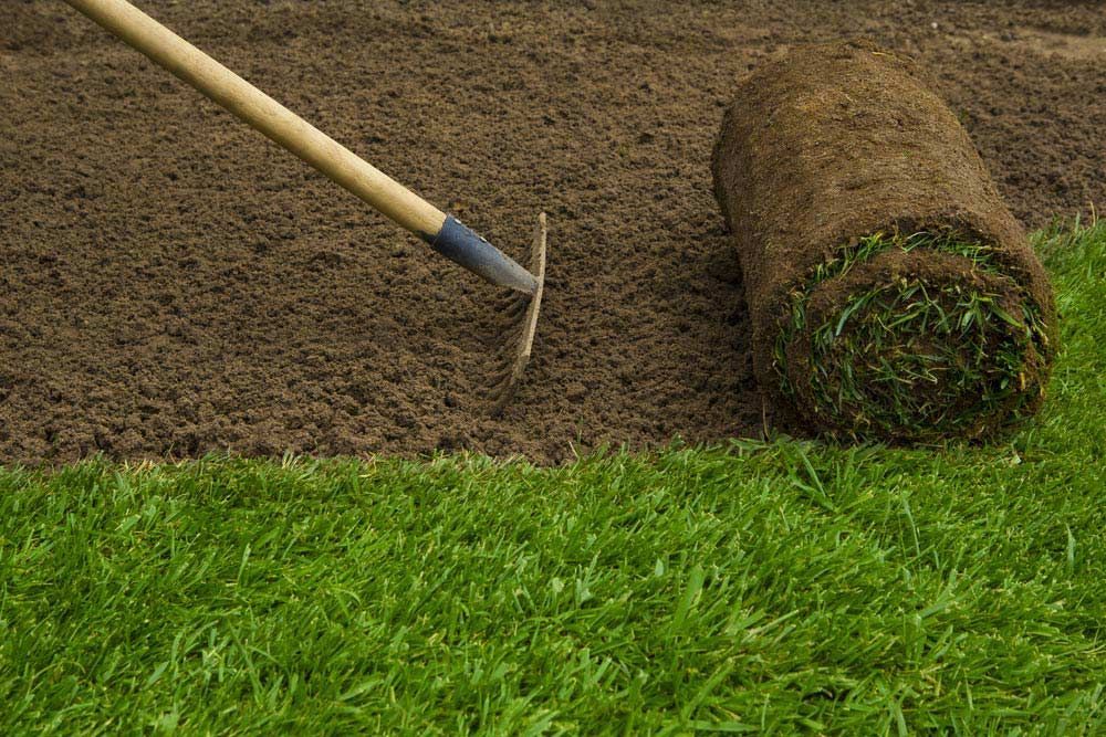 A Person Is Raking A Roll Of Turf On A Lush Green Lawn — Barron River Lawns In Mossman, QLD