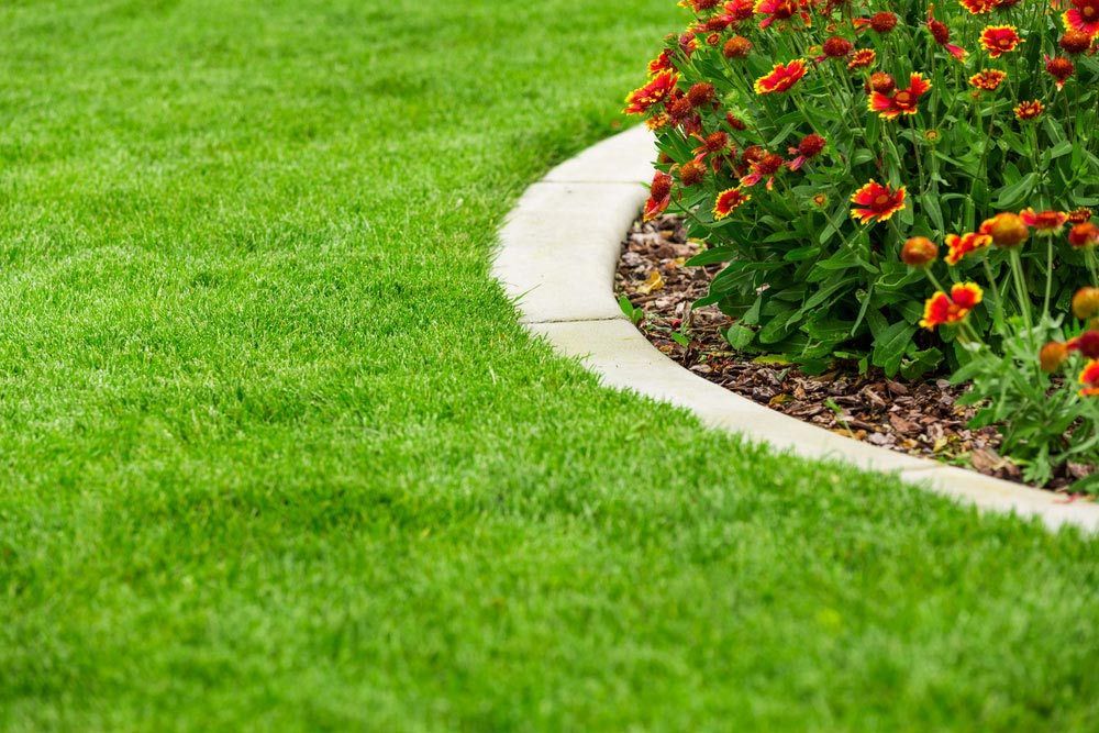 A Lush Green Lawn With A Flower Bed In The Middle Of It — Barron River Lawns In Biboohra, QLD
