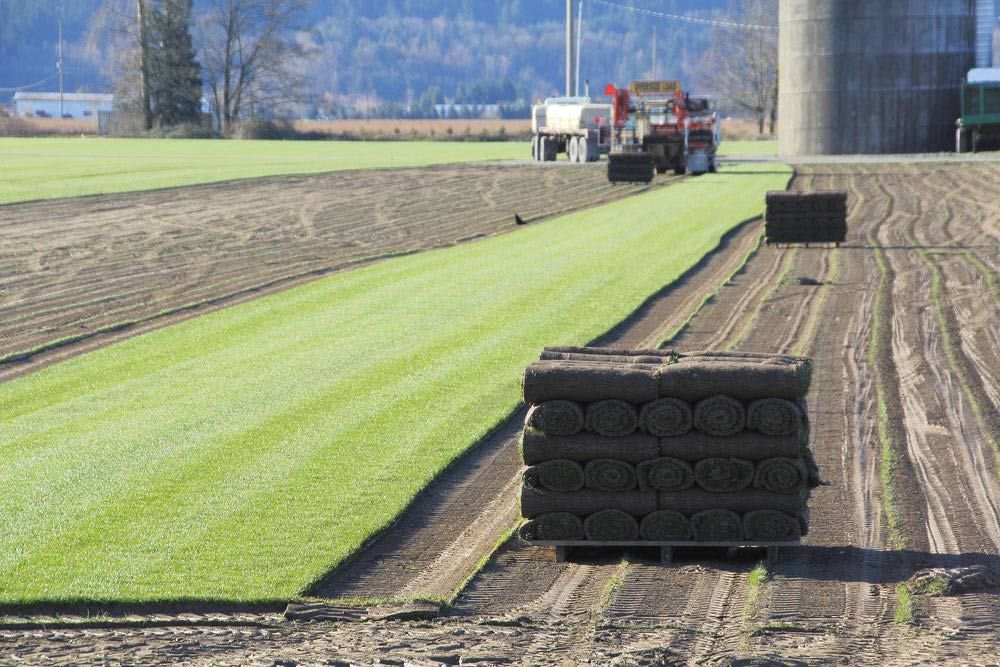 A Stack Of Turf Is Sitting On The Ground In A Field — Barron River Lawns In Cairns, QLD