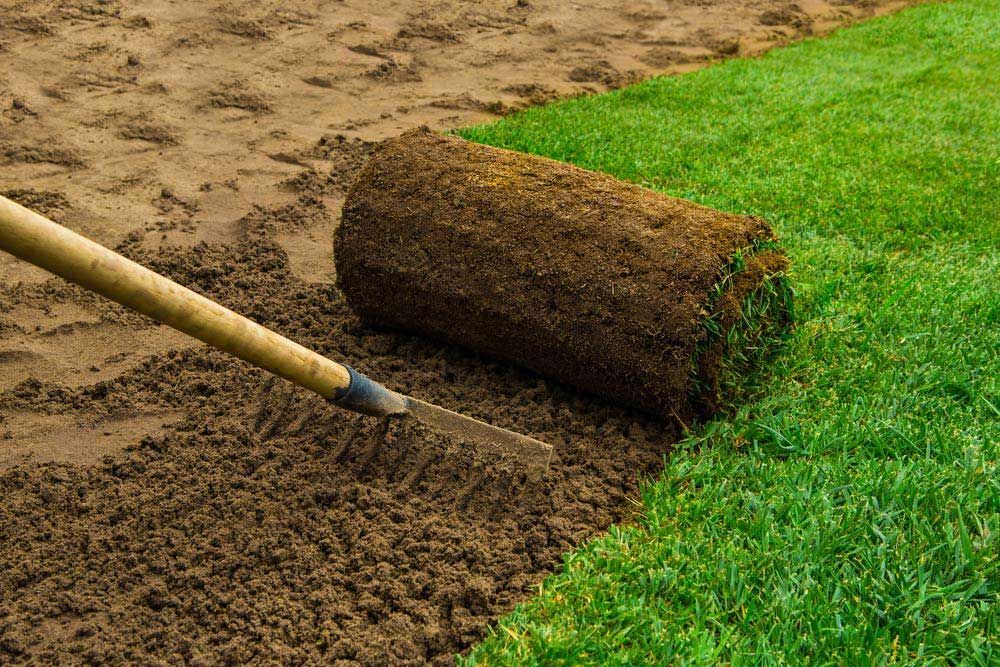 A Rake Is Laying On Top Of A Roll Of Turf — Barron River Lawns In Biboohra, QLD