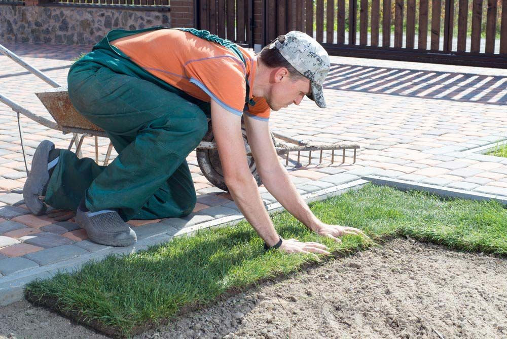 A Man Is Working On The Turf — Barron River Lawns In Malanda, QLD