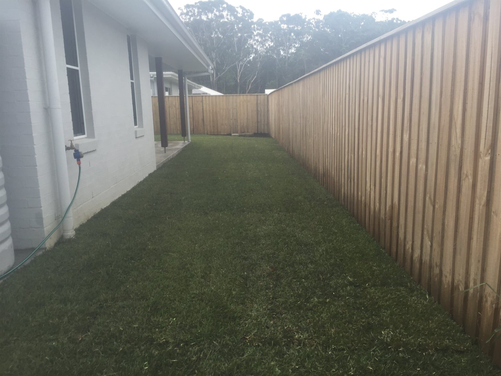 A Wooden Fence Surrounds a Lush Green Lawn in the Backyard of a House — Boambee Turf In Bonville, NSW
