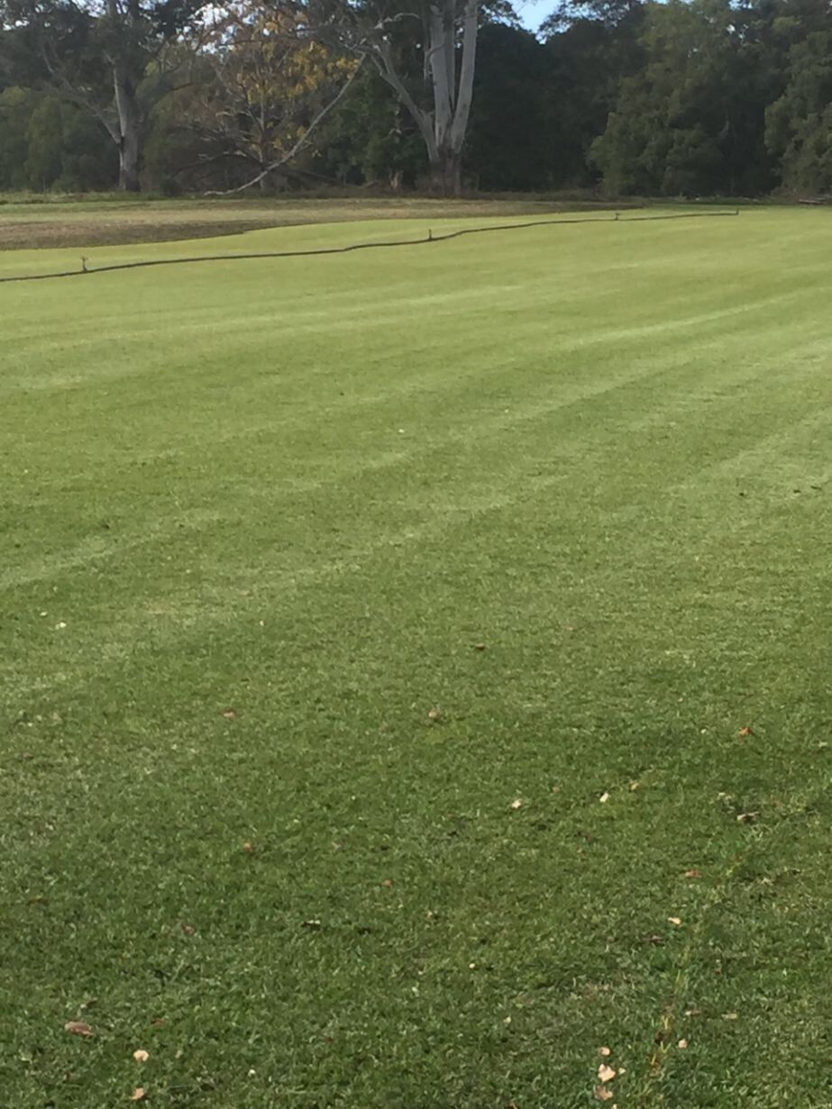 A Large Lush Green Field with Trees in the Background — Boambee Turf In Bonville, QLD	