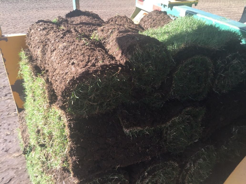 A Pile of Rolls of Grass Sitting on top of Each Other — Boambee Turf In Bonville, NSW